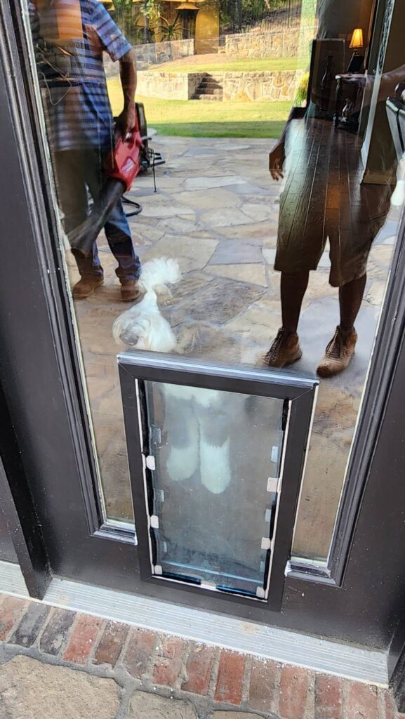 doorglass insert & door