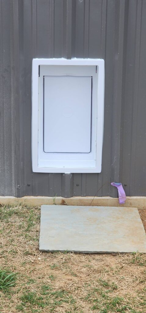 thru wall invisible fence