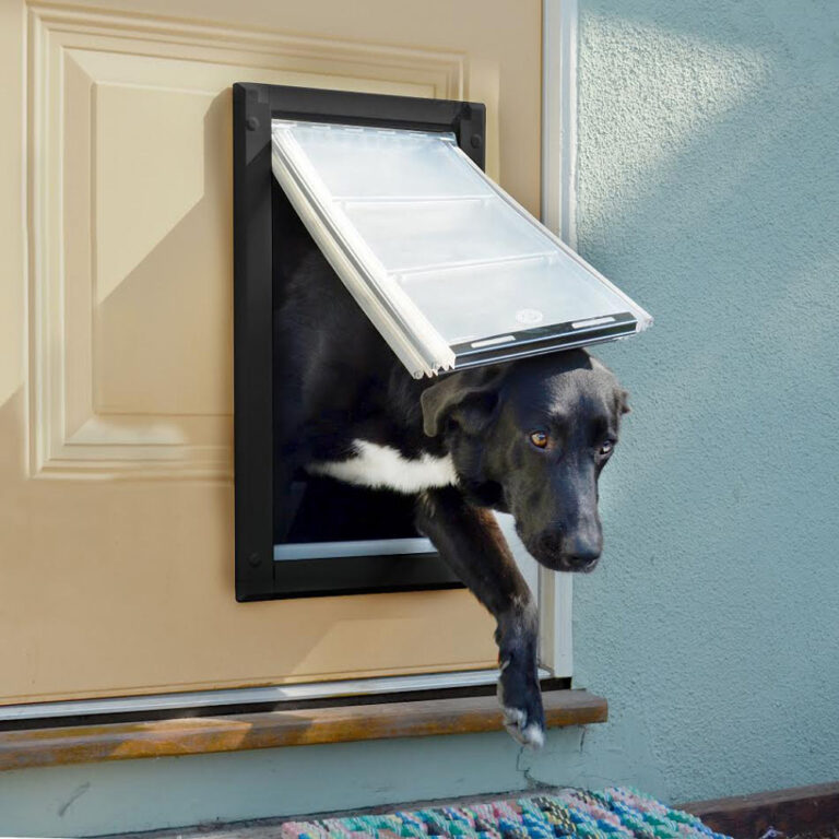 how to choose a dog door 2022 hero (1)