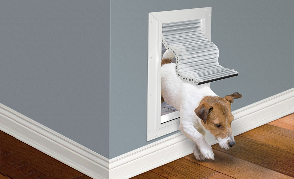 how to choose a dog door 2022 step 4