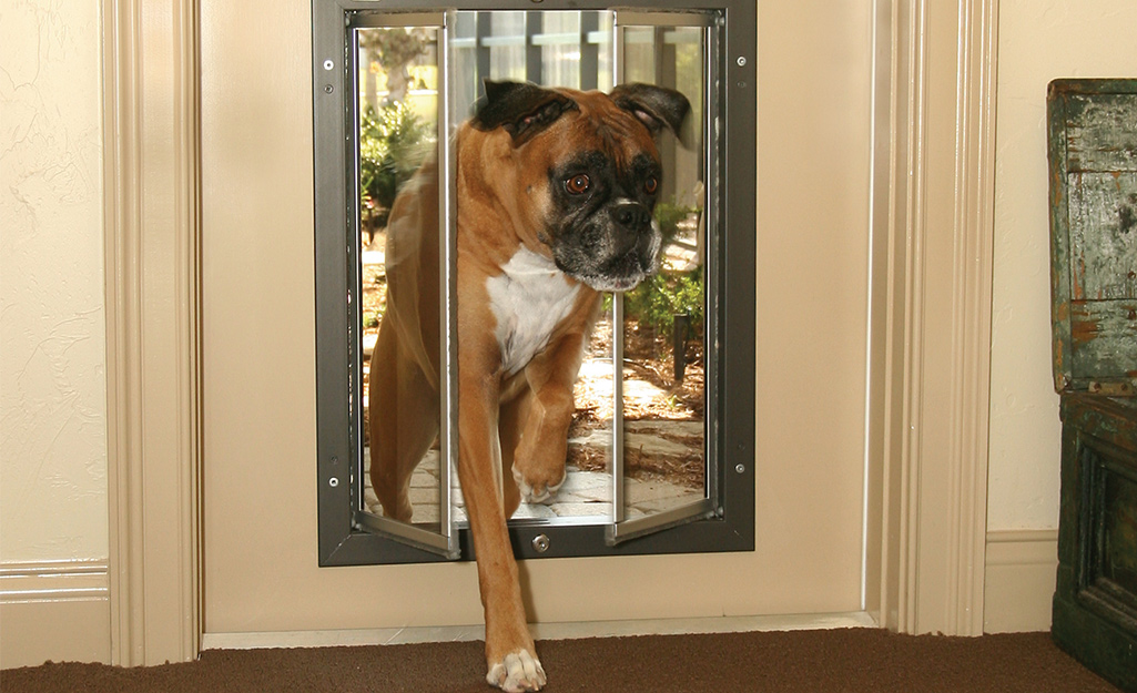 how to choose a dog door 2022 step 7