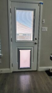 Home in door pet door mansfield 01