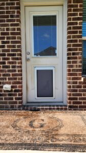 Home in door pet door mansfield 02